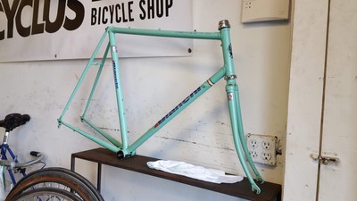 bianchi chainstay protector
